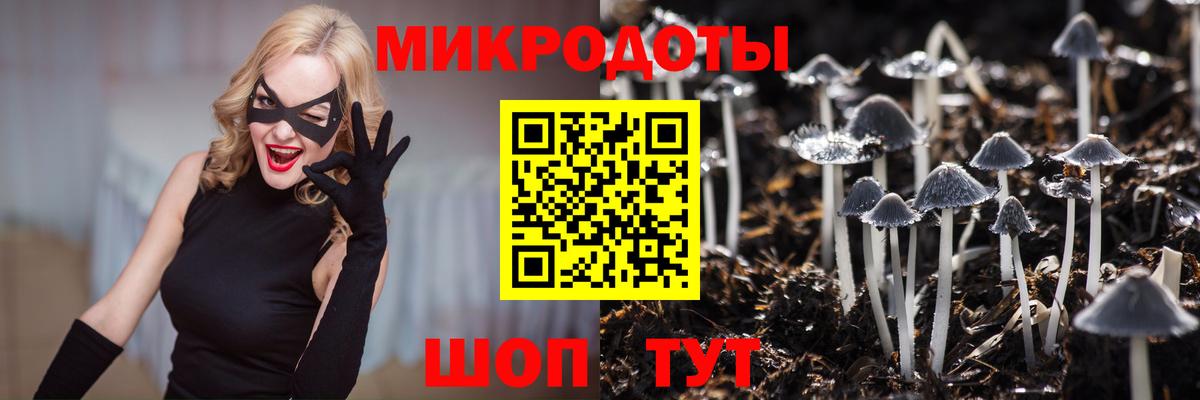 Осинники  Псилоцибиновые грибы мухоморы  как найти   Вход с VPN 